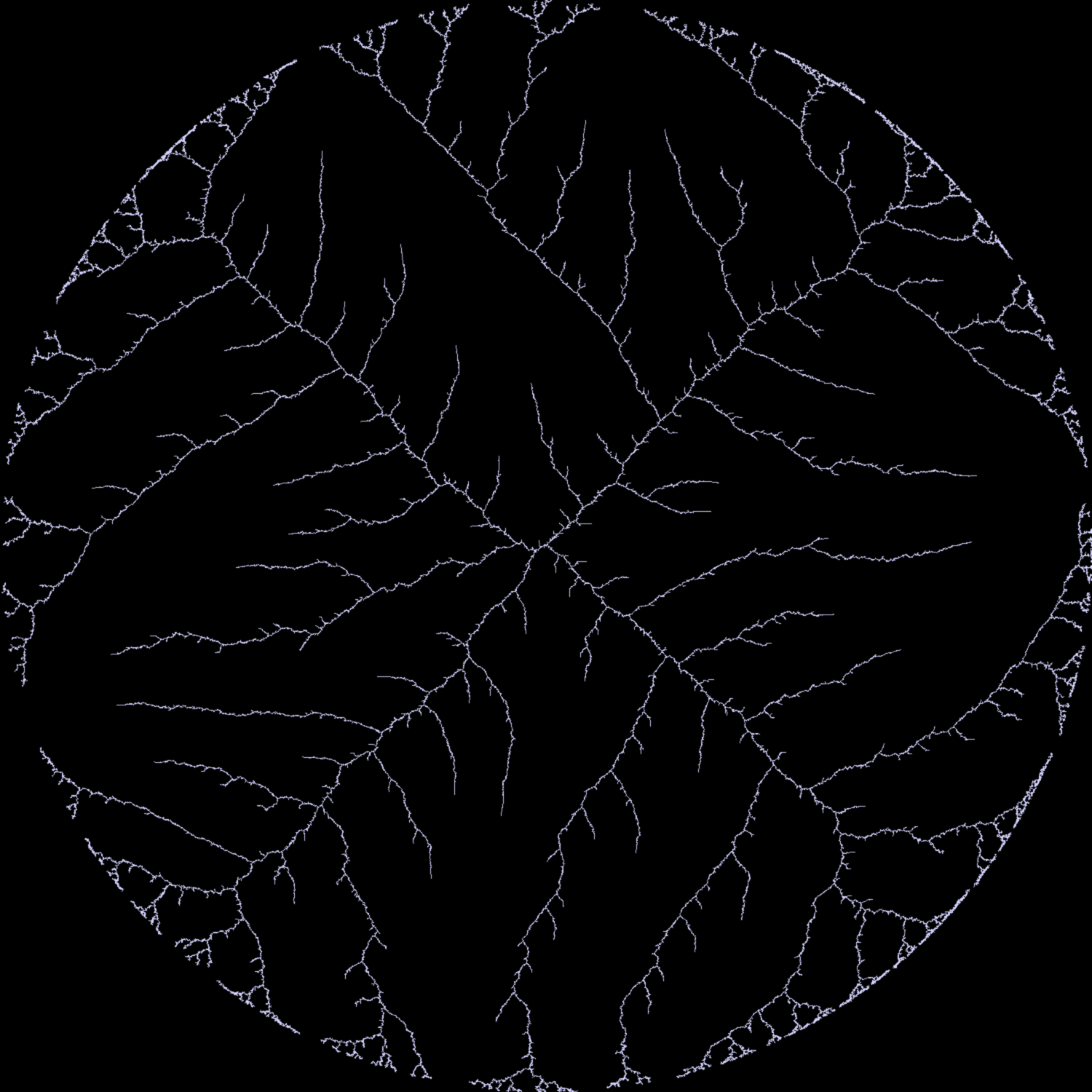 Diffusion Limited Aggregation